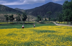 Zemědělci při práci v provincii Kan-su.