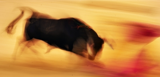 Během slavností v portugalském městě Moita zemřeli během běhu s býky dva muži (ilustrační foto).