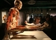 Výstava BODIES v Brně. Návštěvníci mohli opět vidět pravé lidské ostatky v zajímavé expozici.