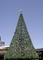 21 metrů vysoký vánoční strom v Sydney je pro Australany symbolem příchodu Vánoc. Zdobí ho 59 tisíc světel a krystaly Swarovski.