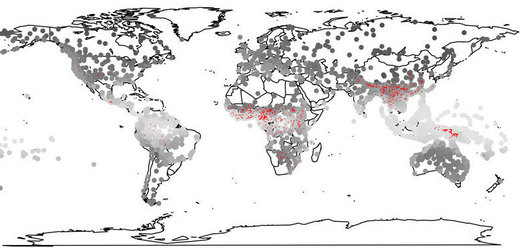 Jazyky, které používají k odlišení významu výšku tónu (červená kolečka), jsou běžnější tam, kde je větší vlhkost vzduchu. V zemích, kde je vzduch sušší, na frekvenci zvuku záleží méně. Tyto jazyky označují šedá kolečka.