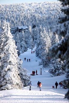 Za lyžováním lze třeba vyrazit do Jizerských hor, Krkonoš či Orlických hor.