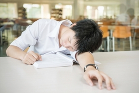 Studenti-sovy skutečně mají u zkoušek nejhorší výsledky v ranních a dopoledních hodinách.