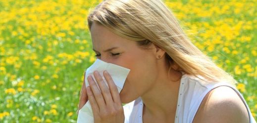 Důležité je na alergii pohlížet jako na nemoc, kteoru je třeba léčit celoročně.