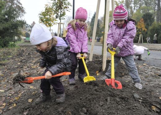 Stromy zasadí děti ze školek a dětských organizací.